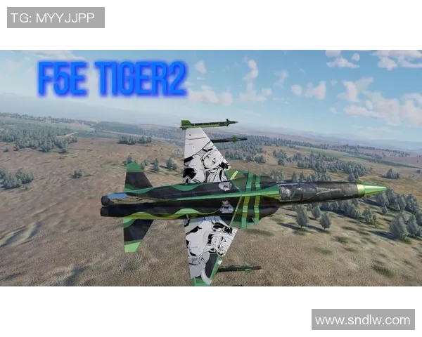 5e比赛-终极对战，第五篇章战争之地—萨尔的神话化变迁及实战比赛的冲击-5e比赛